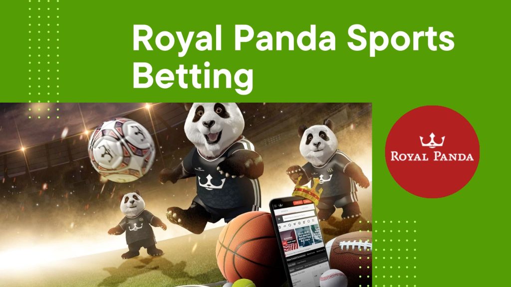 Royal Panda Sports Betting: A Thrilling Experience for Sports Fans